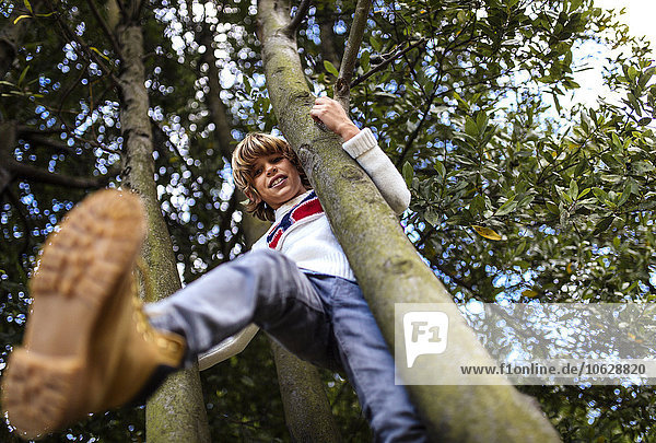 Blonder Junge klettert auf Bäume