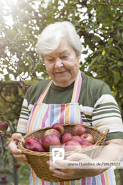 Porträt der Seniorin mit Apfelkorb