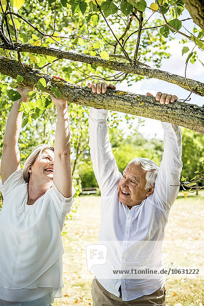 Glückliches älteres Paar mit Zweig am Baum