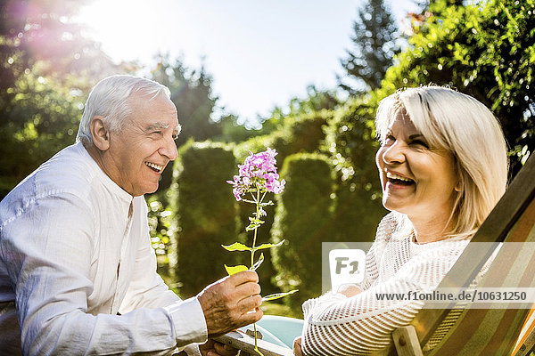 Glücklicher älterer Mann präsentiert Blume zu Frau im Garten