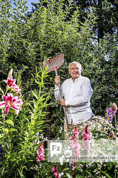Senior Mann stehend mit Rechen im Garten