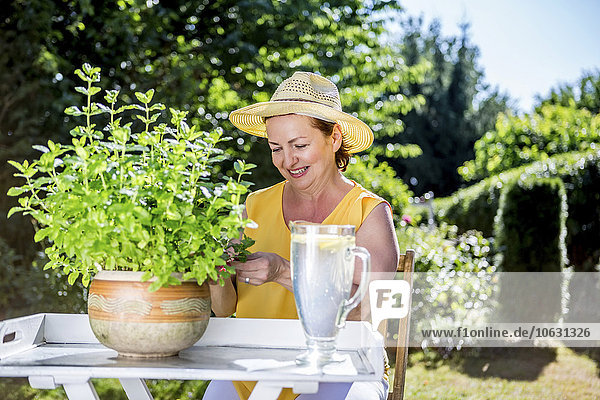 Smiling mature woman caring for potted herbaceous plant in garden