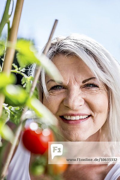 Porträt der lächelnden reifen Frau mit Tomatenpflanze im Garten