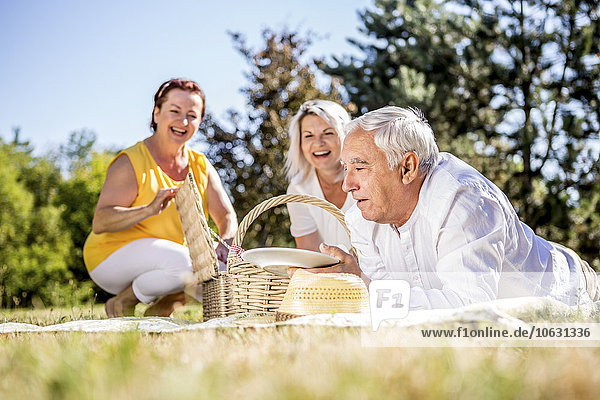 Happy elderly friends having a picnic on a meadow