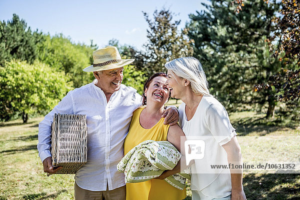 Happy elderly friends on a meadow with blanket and picnic basket
