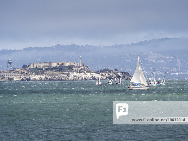 USA  San Francisco  Segelboote vor der Insel Alcatraz