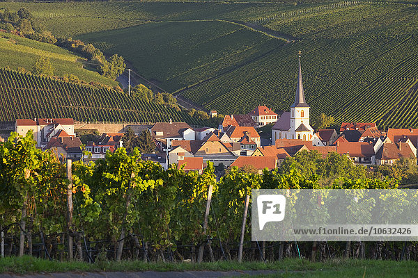 Deutschland Unterfranken Escherndorf umgeben von Weinbergen