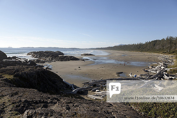 Kanada  Vancouver Island  Longbeach  Treibholz am Strand