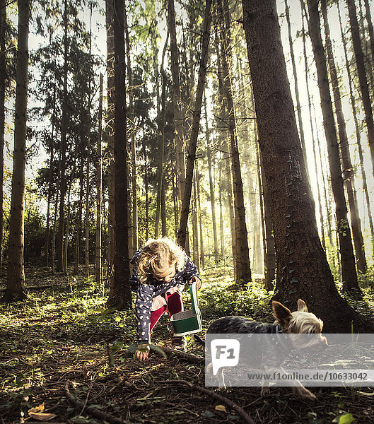 Kleines Mädchen beim Herbstlaubsammeln im Wald