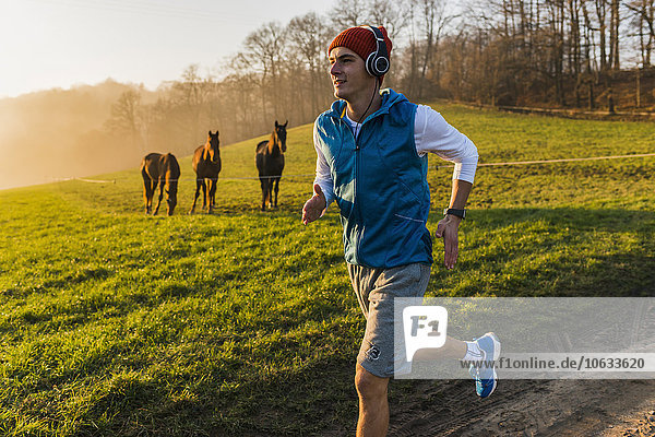 Young man jogging in the morning  horses in the background