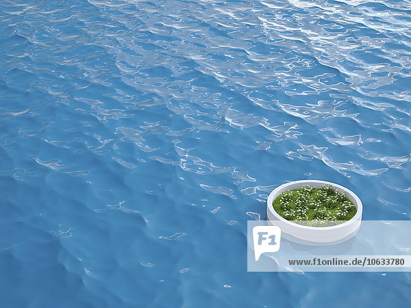 3D Rendering  Insel mit Wiese  schwimmend im Wasser