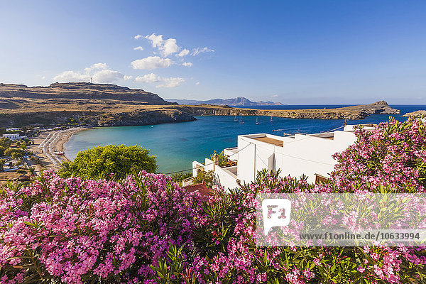 Griechenland  Rhodos  Lindos  Blick auf die Bucht. Oleander im Vordergrund