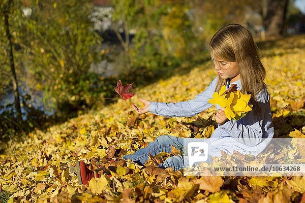 Kleines Mädchen spielt mit Herbstblättern