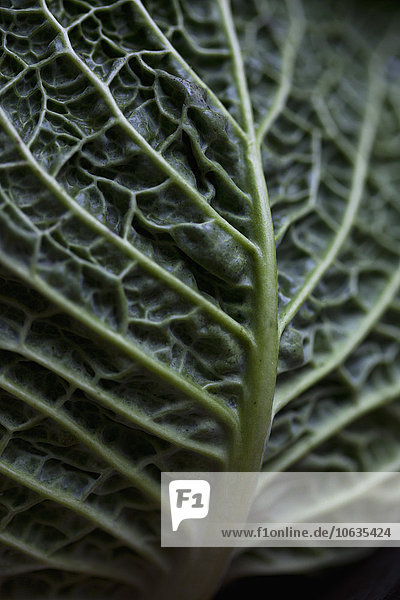 Full frame shot of cabbage leaf