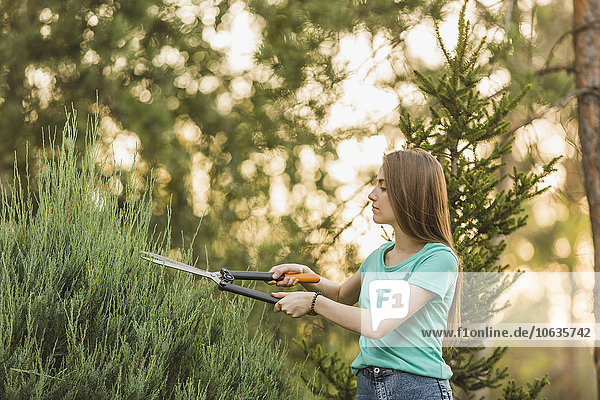 Young woman cutting plants with pruning shears at yard