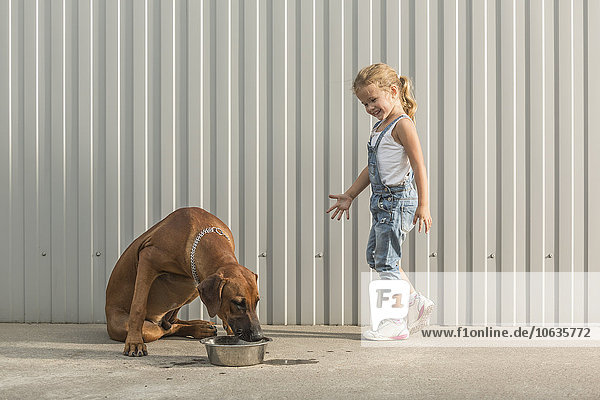 Fröhliches Mädchen schaut auf Hundefutter im Container gegen die Wellwand