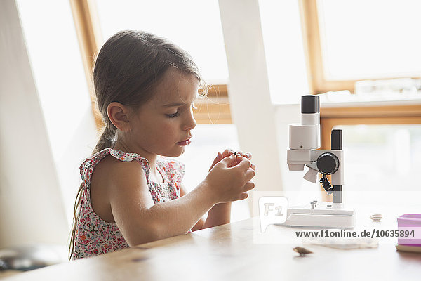 Neugieriges Mädchen beim Betrachten der Probe mit dem Mikroskop auf dem Tisch zu Hause
