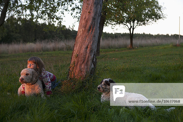 Mädchen sitzend mit Hunden auf grasbewachsenem Feld