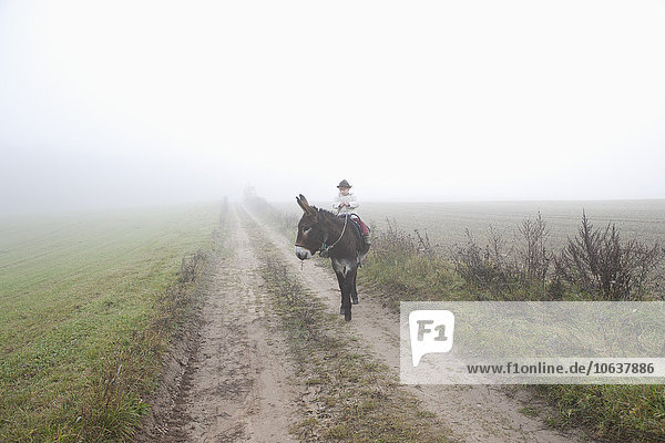 Girl riding donkey on road amidst field during foggy weather