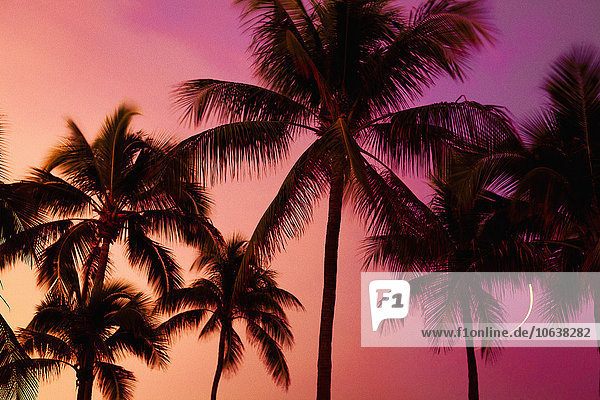 Blick auf die Silhouette von Palmen gegen den Himmel bei Sonnenuntergang