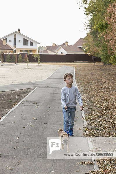 Boy walking with dog on footpath during autumn