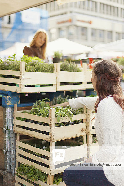 Woman crouching and shopping plant with friend in stall at market