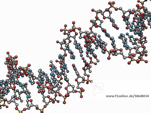 DNA (Deoxyribonucleic acid)  artwork
