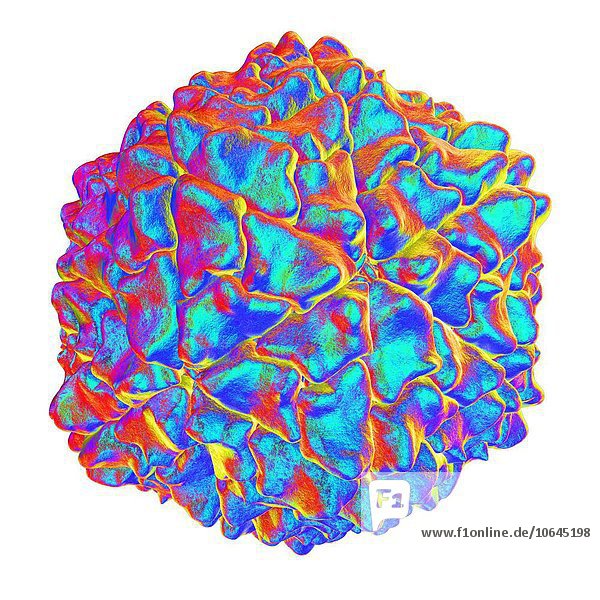 Rice yellow mottle virus computer artwork.