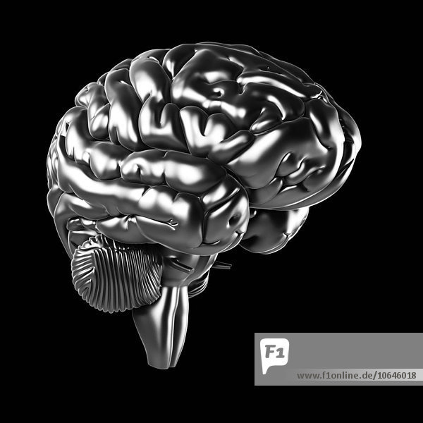 Human brain artwork
