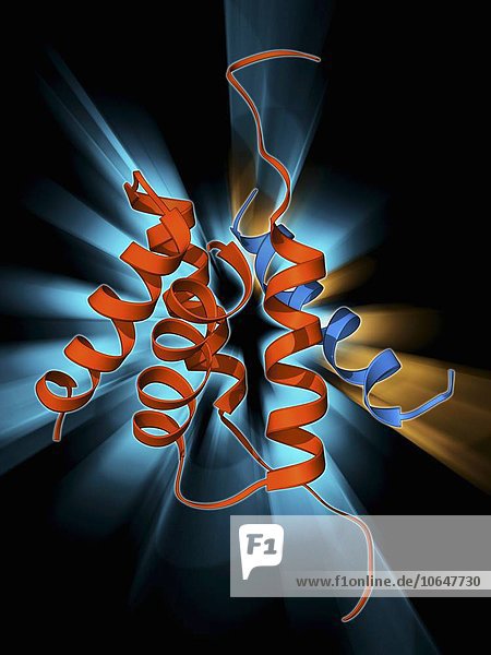 Protein kinase regulatory subunit