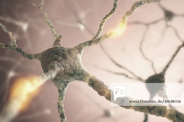 Nerve cell network artwork