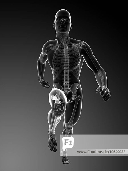 Human anatomy running artwork