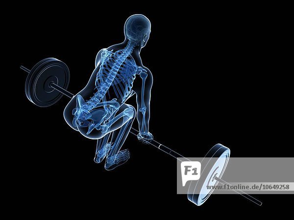 Weight training posture artwork