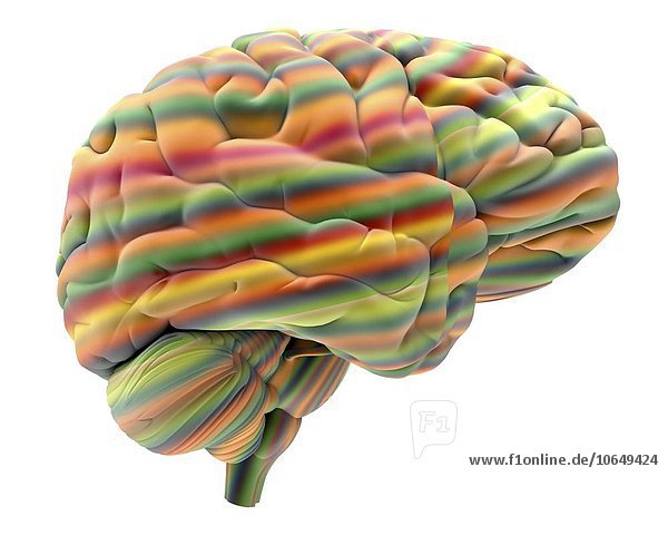 Brain  artwork