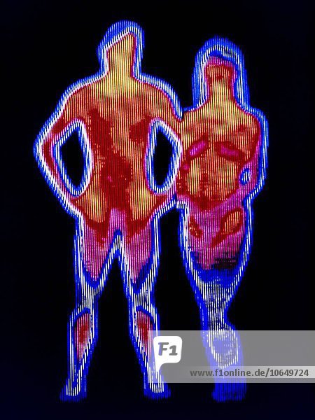 Couple. Thermogram of a naked man and woman. The colours show variation in temperature. The scale runs from white (warmest) through red yellow green and blue to purple (coldest).