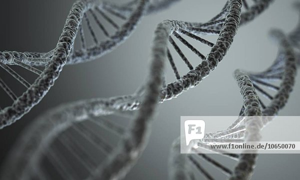 DNA double helix artwork