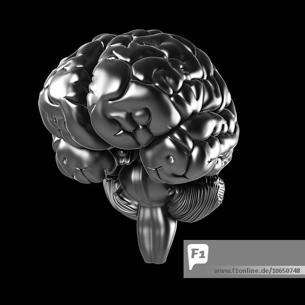 Human brain  artwork