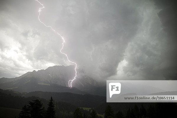Unwetter mit Gewitter  einschlagender Blitz  Blitzschlag  Gebirge Latemar  Südtirol  Italien  Europa