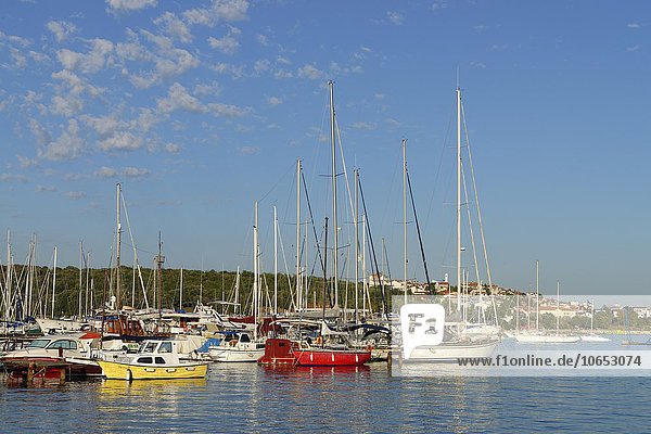 Segelboote im Yachthafen Marina Veruda  hinten Pula  Istrien  Kroatien  Europa