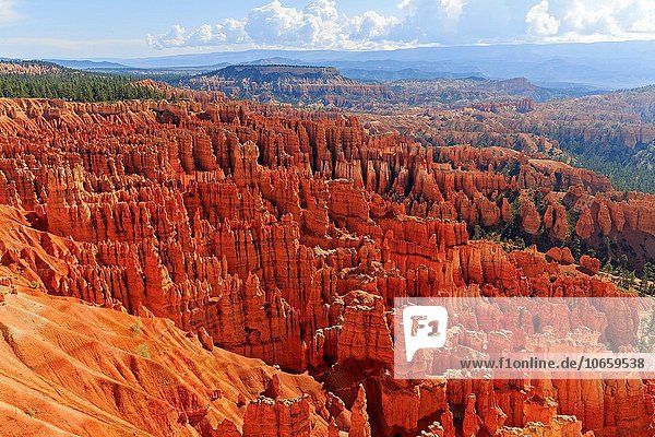 Vereinigte Staaten von Amerika USA Nordamerika Bryce Canyon Nationalpark Utah
