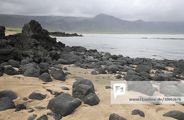 Strand mit großen Lavasteinen  bei Budir  Island  Europa