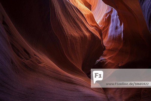 Bunte Sandsteinformation mit Lichteinfall  Upper Antelope Canyon  Slot Canyon  Page  Arizona  USA  Nordamerika