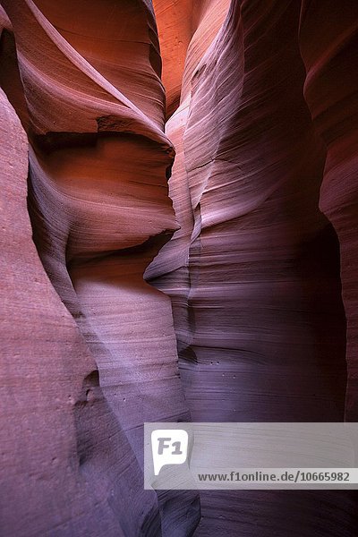 Sandsteinformation im Upper Antelope Canyon  Slot Canyon  Page  Arizona  USA  Nordamerika