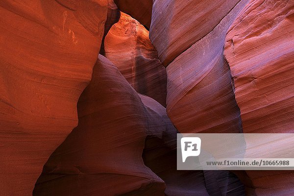 Sandsteinformation im Upper Antelope Canyon  Slot Canyon  Page  Arizona  USA  Nordamerika