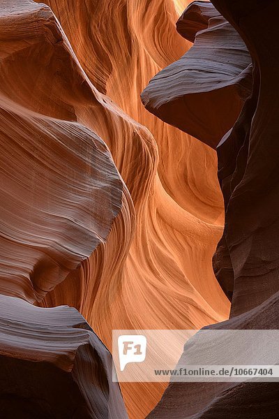 Roter Sandstein  Felsformation  Lower Antelope Slot Canyon oder Corkscrew Canyon  Page  Navajo Nation Reservation  Arizona  USA  Nordamerika