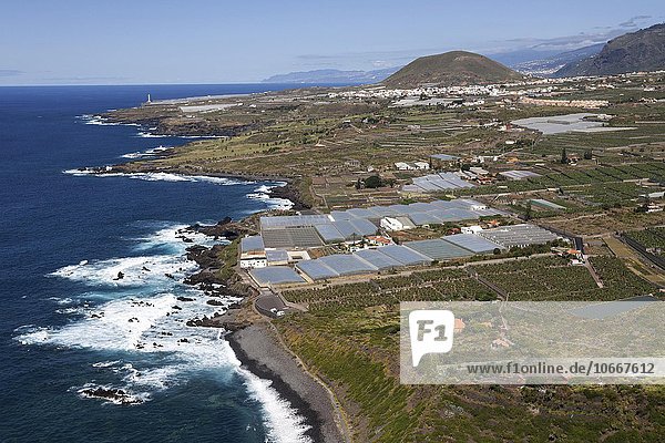 Ausblick vom Mirador de Don Pompeyo auf die Nordwestküste und Bananenplantagen hinten Buenavista del Norte Teneriffa Kanarische Inseln Spanien Europa