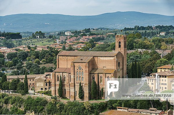 Basilica di San Domenico,  Siena,  Toskana,  Italien,  Europa