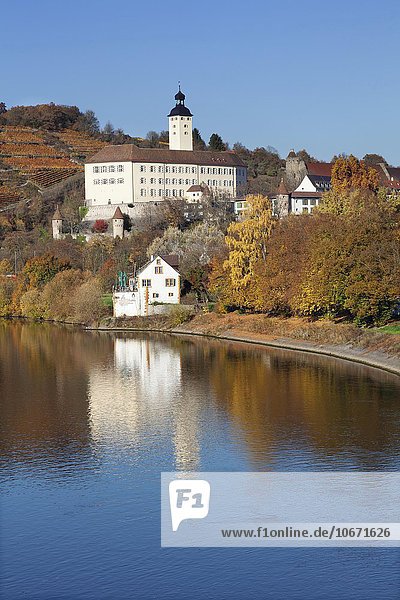 Schloss Horneck und Neckar  Gundelsheim  Baden Württemberg  Deutschland  Europa