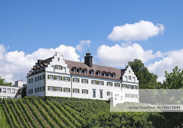 Schloss Hersberg  Immenstaad am Bodensee  Bodenseekreis  Oberschwaben  Baden-Württemberg  Deutschland  Europa