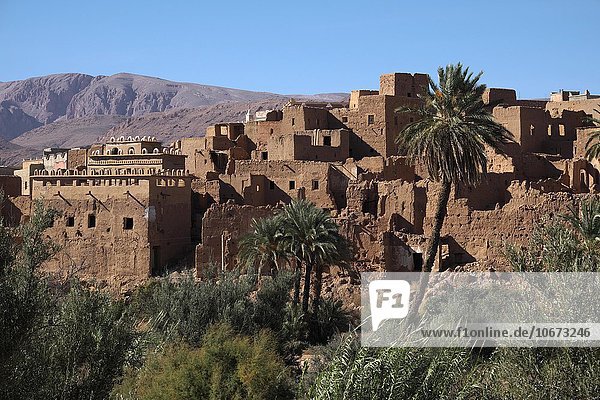 Oase Tinerhir  Hoher Atlas  Souss-Massa-Draâ  Marokko  Afrika